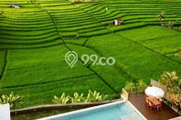 Rumah Mewah LB 600m2 Siap Huni Desain Elegan di Canggu, Badung Rumah Mewah LB 600m2 Siap Huni Desain Elegan di Canggu, Badung