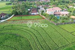 Tanah di Tibubiyu, Luas 700m², Sertifikat Hak Milik, Akses Tibubiyu, Tabanan, Tabanan Tanah di Tibubiyu, Luas 700m², Sertifikat Hak Milik, Akses Tibubiyu, Tabanan, Tabanan