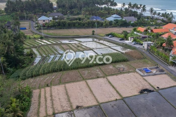 Tanah Kavling Dijual di Beraban, Tabanan dengan Luas Tanah 1200m2 Tanah Kavling Dijual di Beraban, Tabanan dengan Luas Tanah 1200m2