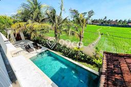 Rumah Luxury Modern Siap Huni di canggu Badung Rumah Luxury Modern Siap Huni di canggu Badung