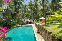 Rumah Luxury Modern Siap Huni di canggu Badung Rumah Luxury Modern Siap Huni di canggu Badung