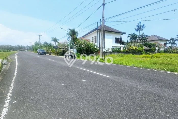 Kavling Tanah di Kediri Dijual Luas 1250m2 Legalitas SHM Kavling Tanah di Kediri Dijual Luas 1250m2 Legalitas SHM