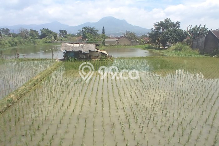 Jarang Ada! Tanah di Cibiru Punya Luas 7090m2 SHM Jarang Ada! Tanah di Cibiru Punya Luas 7090m2 SHM