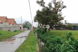 Tanah Dijual Lokasi Rancaekek, Bandung Luas 1083m2 Legalitas Aman Tanah Dijual Lokasi Rancaekek, Bandung Luas 1083m2 Legalitas Aman