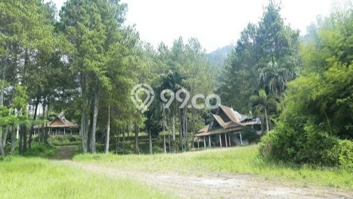 Tanah Dijual Lokasi Lembang, Bandung Barat Luas 140000m2 Legalitas Aman Tanah Dijual Lokasi Lembang, Bandung Barat Luas 140000m2 Legalitas Aman