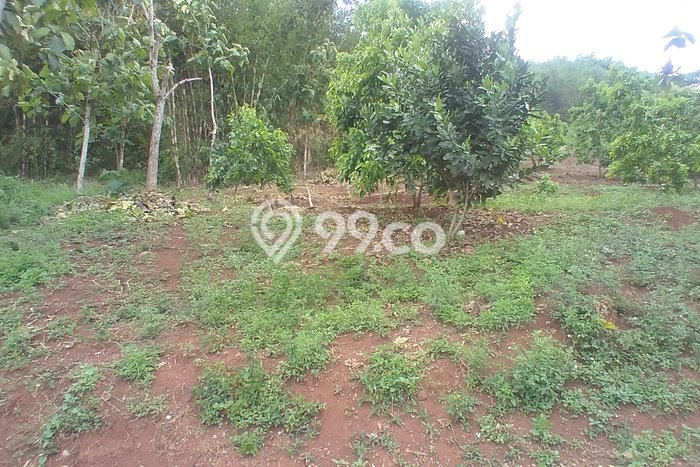 Tanah Investasi Dijual di Garut Punya Luas 50000m2 Tanah Investasi Dijual di Garut Punya Luas 50000m2