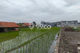 Tanah Siap Bangun Dijual di Bandung Punya Luas 1303m2 Tanah Siap Bangun Dijual di Bandung Punya Luas 1303m2