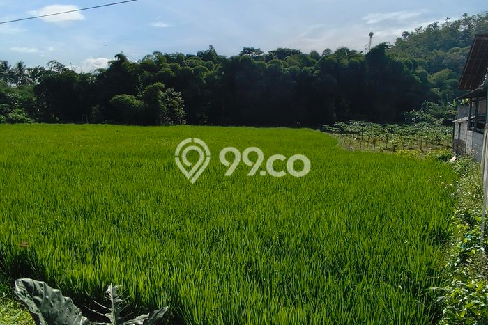 Untuk Dijual Tanah di Garut, Luas 3017m2 SHM Untuk Dijual Tanah di Garut, Luas 3017m2 SHM