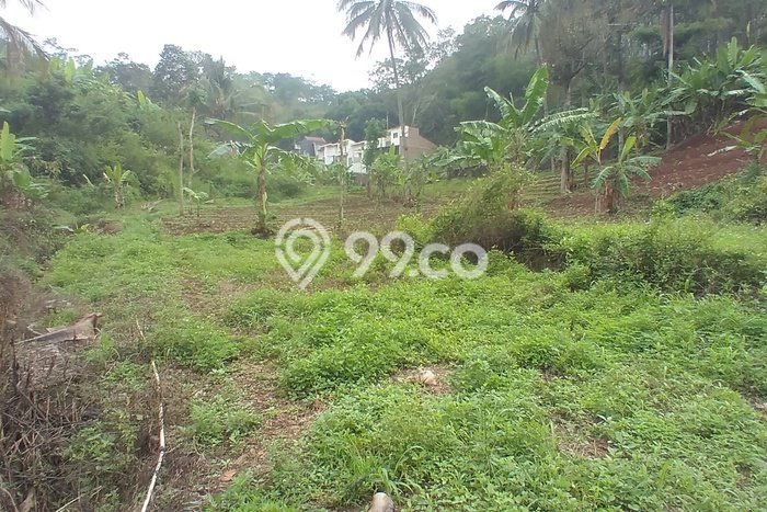Dijual Tanah di Jatinangor Sumedang Luas 139m2 SHM Dijual Tanah di Jatinangor Sumedang Luas 139m2 SHM