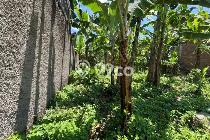 Tanah untuk Dijual di Jatinangor Sumedang Luas 136m2 Tanah untuk Dijual di Jatinangor Sumedang Luas 136m2