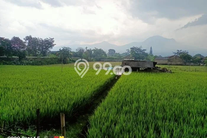Lahan Dijual Lokasi Cibiru, Bandung dengan Luas Tanah 733m2 dan Status SHM Lahan Dijual Lokasi Cibiru, Bandung dengan Luas Tanah 733m2 dan Status SHM