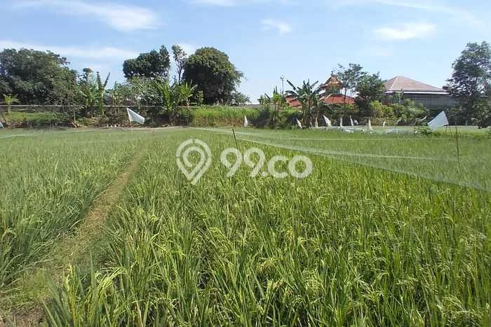 Lahan Dijual Lokasi Cibiru, Bandung dengan Luas Tanah 733m2 dan Status SHM Lahan Dijual Lokasi Cibiru, Bandung dengan Luas Tanah 733m2 dan Status SHM