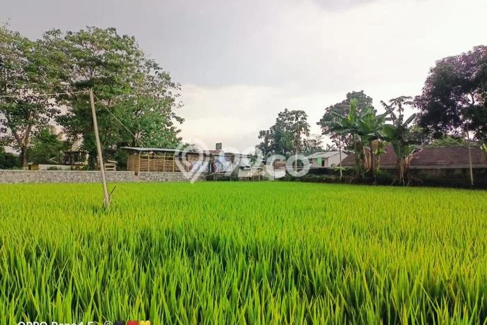 Lahan Dijual Lokasi Cibiru, Bandung dengan Luas Tanah 733m2 dan Status SHM Lahan Dijual Lokasi Cibiru, Bandung dengan Luas Tanah 733m2 dan Status SHM
