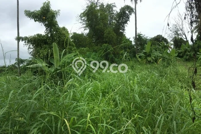 Tanah Kawasan Malalayang, Luas 1759m2m², Lokasi Potensial, Kawasan Nyaman Tanah Kawasan Malalayang, Luas 1759m2m², Lokasi Potensial, Kawasan Nyaman