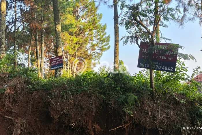 Lahan untuk Dijual Lokasi Lembang, Bandung Barat Luas 2755m2 SHM Lahan untuk Dijual Lokasi Lembang, Bandung Barat Luas 2755m2 SHM