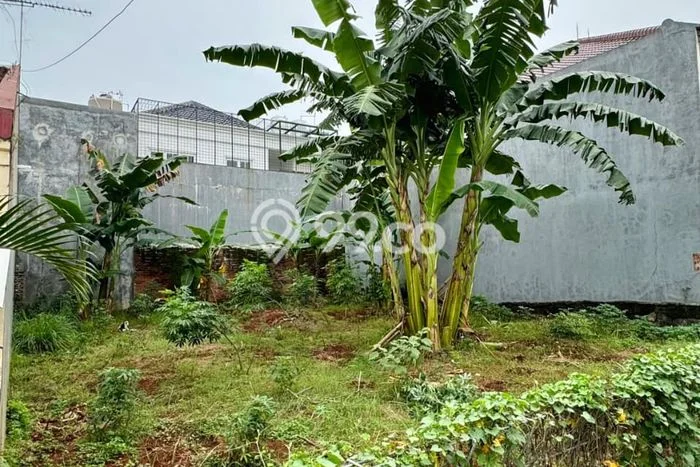 Tanah Kavling Dijual di Pondok Kelapa, Jakarta Timur dengan Luas Tanah 280m2 Tanah Kavling Dijual di Pondok Kelapa, Jakarta Timur dengan Luas Tanah 280m2