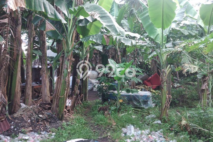 Kavling Tanah untuk Dijual di Radio Dalam, Jakarta Selatan, Luas 1764m2 Kavling Tanah untuk Dijual di Radio Dalam, Jakarta Selatan, Luas 1764m2