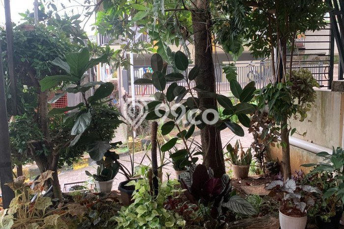 Hunian Murah Dijual di Cileunyi, Bandung Harga Rp 500 Juta Hunian Murah Dijual di Cileunyi, Bandung Harga Rp 500 Juta