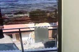Kost di , Area 98m2m², Dekat ke berbagai fasilitas umum Kost di , Area 98m2m², Dekat ke berbagai fasilitas umum