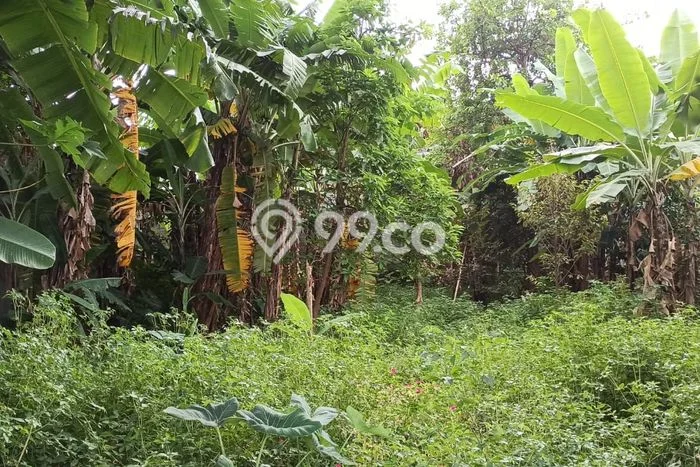 Tanah Kavling Dijual di Sarijadi, Bandung dengan Luas Tanah 545m2 Tanah Kavling Dijual di Sarijadi, Bandung dengan Luas Tanah 545m2