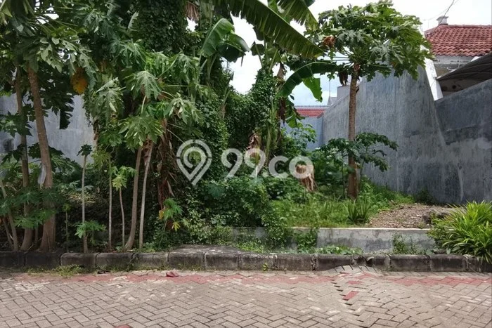 Tanah di Mulyorejo, Surabaya Luas 240m2 Dijual Segera Tanah di Mulyorejo, Surabaya Luas 240m2 Dijual Segera