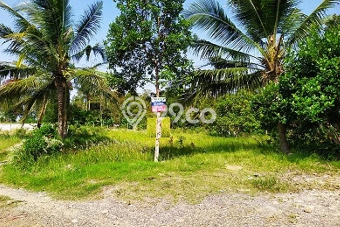 Tanah Dijual Lokasi Tanjung Karang Barat, Bandar Lampung Luas 19000m2 Legalitas Aman Tanah Dijual Lokasi Tanjung Karang Barat, Bandar Lampung Luas 19000m2 Legalitas Aman