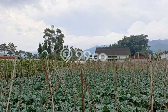 Kavling Tanah Dijual di Lembang Bandung Barat Spesifikasi 10000m2 Kavling Tanah Dijual di Lembang Bandung Barat Spesifikasi 10000m2