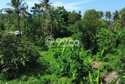 Tanah untuk Dijual Lokasi Tabanan, Tabanan Luas 1000m2 SHM Tanah untuk Dijual Lokasi Tabanan, Tabanan Luas 1000m2 SHM