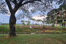 Tanah Kavling untuk Dijual di Tarumajaya Bekasi 1250m2 Tanah Kavling untuk Dijual di Tarumajaya Bekasi 1250m2