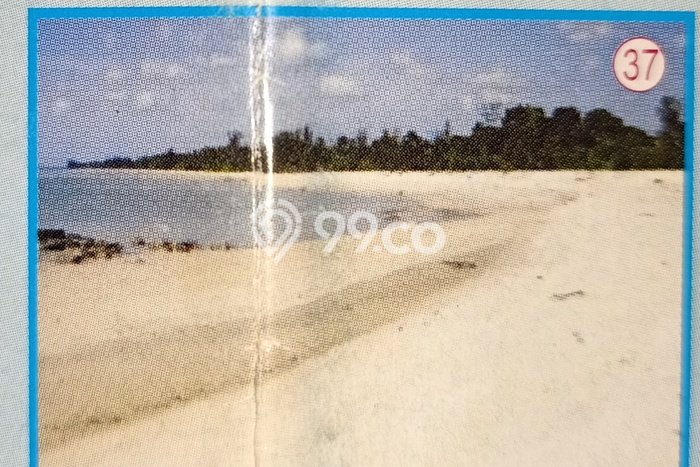 Komersial Dijual di Badung LT 100000m2 & LB 10m2 Lokasi Terbaik! Komersial Dijual di Badung LT 100000m2 & LB 10m2 Lokasi Terbaik!
