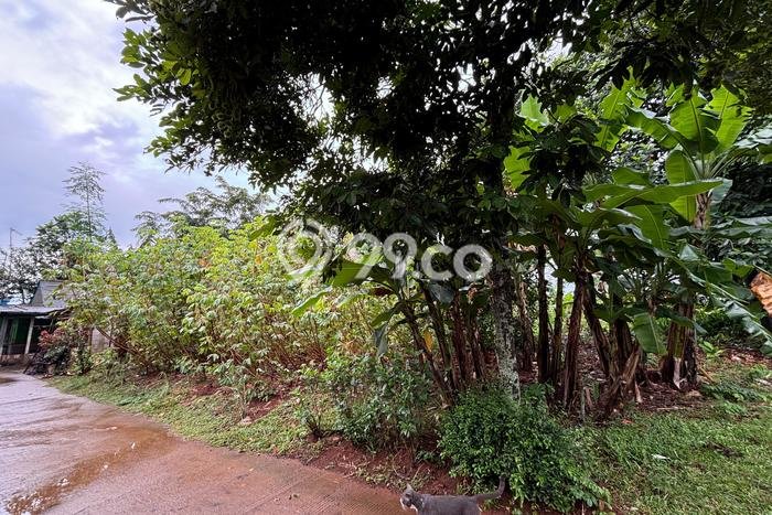 Tanah Kavling Dijual di Jati Asih, Bekasi dengan Luas Tanah 1600m2 Tanah Kavling Dijual di Jati Asih, Bekasi dengan Luas Tanah 1600m2