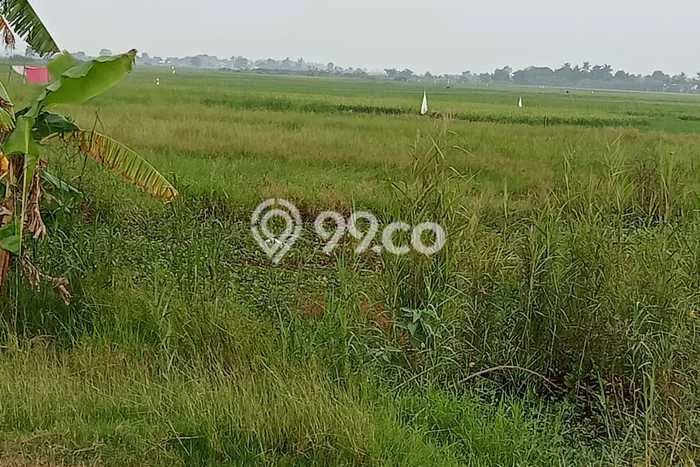 Lahan untuk Dijual Lokasi Ranca Bungur, Bogor Luas 20000m2 - Lahan untuk Dijual Lokasi Ranca Bungur, Bogor Luas 20000m2 -