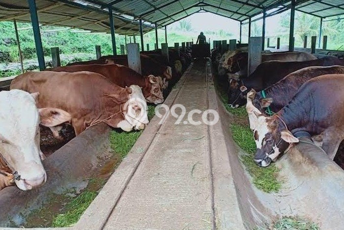 Komersial Favorit Dijual di Cijeruk Bogor Area Pusat Bisnis Komersial Favorit Dijual di Cijeruk Bogor Area Pusat Bisnis