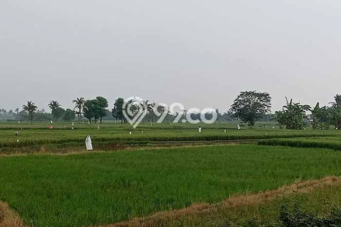 Lahan untuk Dijual Lokasi Ranca Bungur, Bogor Luas 20000m2 - Lahan untuk Dijual Lokasi Ranca Bungur, Bogor Luas 20000m2 -