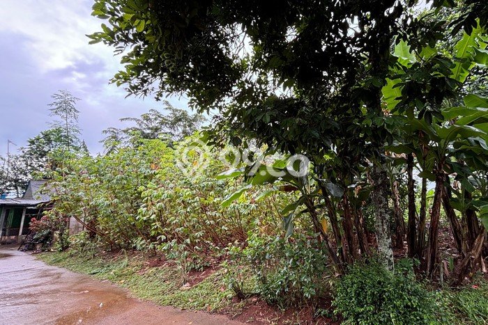 Tanah Kavling Dijual di Jati Asih, Bekasi dengan Luas Tanah 1600m2 Tanah Kavling Dijual di Jati Asih, Bekasi dengan Luas Tanah 1600m2