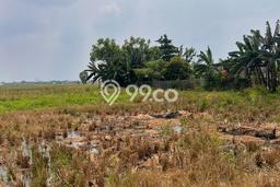 Kavling Tanah di Cikarang Utara Dijual Luas 200000m2 Legalitas SHM Kavling Tanah di Cikarang Utara Dijual Luas 200000m2 Legalitas SHM