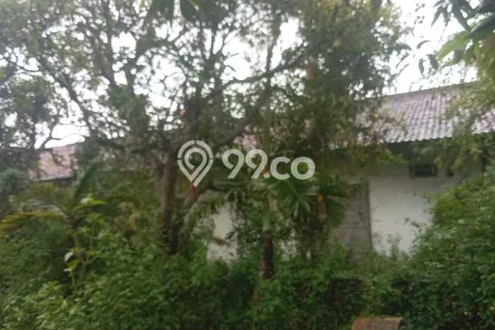 Jarang Ada! Tanah di Lasem Punya Luas 8541m2 SHM Jarang Ada! Tanah di Lasem Punya Luas 8541m2 SHM