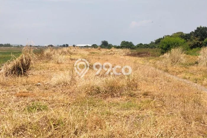 Tanah Disewakan di Sidoarjo, Sidoarjo, Luas 5000m2 SHM Tanah Disewakan di Sidoarjo, Sidoarjo, Luas 5000m2 SHM