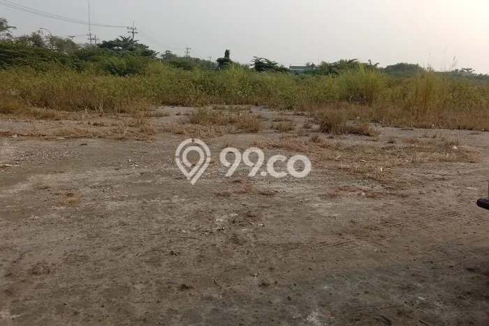 Lahan Strategis di Manyar Gresik Disewakan dengan Luas 10000m2 Lahan Strategis di Manyar Gresik Disewakan dengan Luas 10000m2