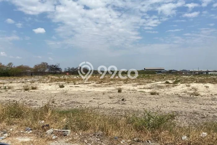 Disewakan Tanah di Margomulyo Surabaya Seluas 45000m2 Disewakan Tanah di Margomulyo Surabaya Seluas 45000m2