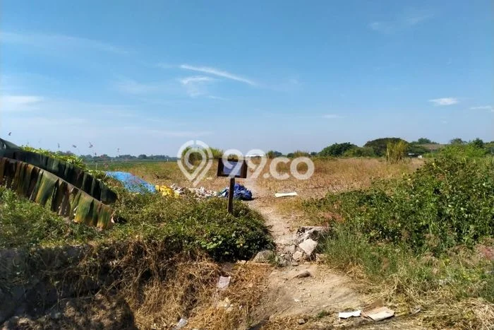 Tanah Disewakan di Sidoarjo, Sidoarjo, Luas 5000m2 SHM Tanah Disewakan di Sidoarjo, Sidoarjo, Luas 5000m2 SHM