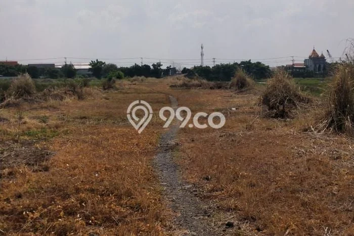 Tanah Disewakan di Sidoarjo, Sidoarjo, Luas 5000m2 SHM Tanah Disewakan di Sidoarjo, Sidoarjo, Luas 5000m2 SHM
