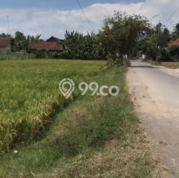 Tanah Dijual Lokasi Muncar, Banyuwangi Luas 2000m2 Legalitas Aman Tanah Dijual Lokasi Muncar, Banyuwangi Luas 2000m2 Legalitas Aman