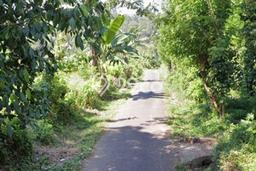 Tanah di Curug, Serang Luas 80000m2 Dijual Segera Tanah di Curug, Serang Luas 80000m2 Dijual Segera