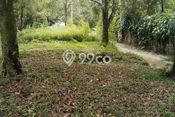 Kavling Tanah untuk Dijual di Munduk, Buleleng, Luas 2900m2 Kavling Tanah untuk Dijual di Munduk, Buleleng, Luas 2900m2