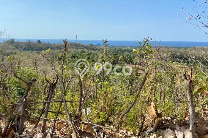 Lahan Strategis di Gerokgak Dijual dengan Luas 22500m2 Lahan Strategis di Gerokgak Dijual dengan Luas 22500m2