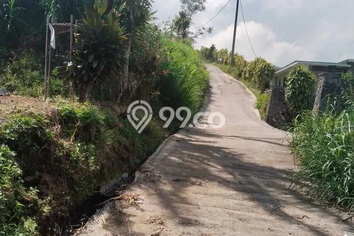 Tanah Strategis Dijual di Baturiti Tabanan 1800m2 Tanah Strategis Dijual di Baturiti Tabanan 1800m2