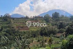 Tanah Strategis Dijual di Baturiti Tabanan 1800m2 Tanah Strategis Dijual di Baturiti Tabanan 1800m2