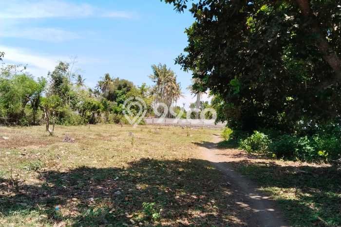 Tanah di Melaya, Jembrana Luas 6500m2 Dijual Segera Tanah di Melaya, Jembrana Luas 6500m2 Dijual Segera