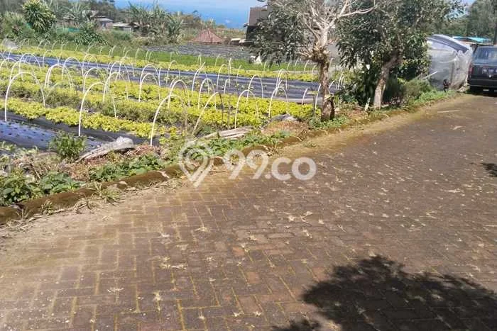 Kavling Tanah Dijual di Baturiti, Tabanan, Luas 1000m2 Area Strategis Kavling Tanah Dijual di Baturiti, Tabanan, Luas 1000m2 Area Strategis